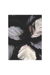 Grey Canvas Wall Art Poster