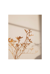 Brown Canvas Wall Art Poster