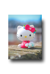 Hello Kitty Canvas Wall Art: Say Cheese!