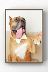 Personalized Dog Canvas Wall Art Poster