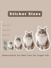 Custom Pet Photo Stickers Cute Pet Decoration Stickers Pet Photo Stickers Custom Portrait Stickers Custom Water Bottle Stickers Laptop Stickers Pet Memorial Stickers Gifts for Valentine's Anniversary Day Birthday Boyfriend/Girlfriend