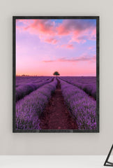 Lavender Sunset: Tranquil Canvas Wall Art