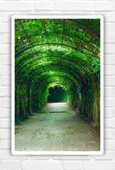 Emerald Arbor Canvas Art