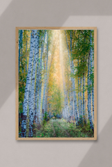 Birch Tree Canvas Wall Art Poster