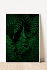 Emerald Fern Forest Canvas Art