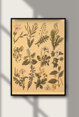 Botanical Canvas Wall Art Poster