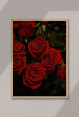 Velvet Red Rose Canvas: Timeless Elegance for Your Home