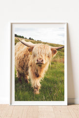 Highland Cow Canvas Wall Art – Rustic Farmhouse Animal Portrait