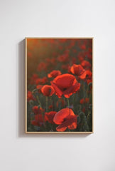Scarlet Poppy Field Canvas: Romantic Floral Wall Art