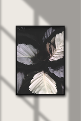 Grey Canvas Wall Art Poster