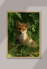 Whispering Woods: Fox Cub Canvas Art
