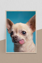 Tiny Titan: Chihuahua Canvas Art