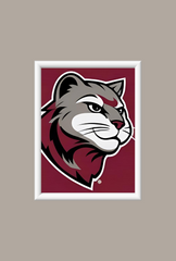Washington State University Cougars Canvas Wall Art – Show Your Team Pride-Ganfaner