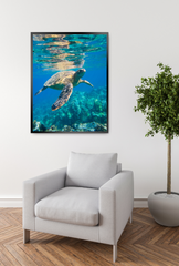 Sea Turtle Canvas Wall Art Poster