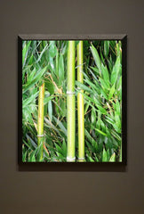 Serene Stalks: Bamboo Canvas Wall Art