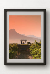 Autumn's Bounty: Capture the Beauty of Harvest on Canvas