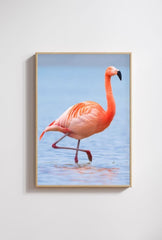 Flamingo Serenity Canvas Art