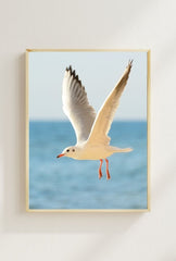 Coastal Freedom: Seagull Canvas Art - Ocean Breeze