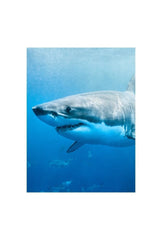 Majesty of the Deep: Great White Shark Canvas Art