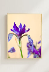 Culinary Harmony Canvas Art