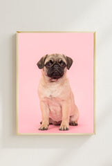 Adorable Pug Canvas Wall Art – Ganfaner Exclusive by Holidaypac
