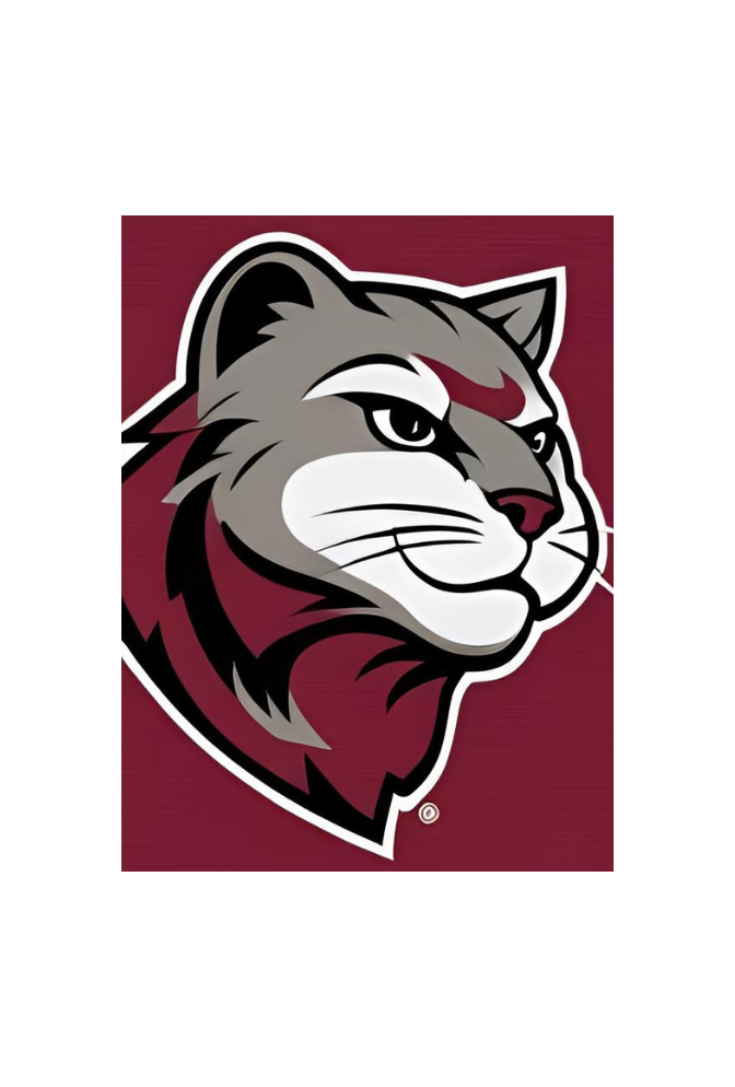 Washington State University Cougars Canvas Wall Art – Show Your Team Pride-Ganfaner