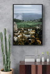 Country Charm: Whimsical Farm Animal Canvas Wall Art