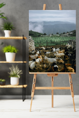 Country Charm: Whimsical Farm Animal Canvas Wall Art