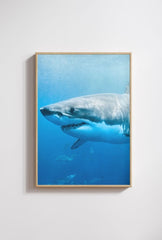 Majesty of the Deep: Great White Shark Canvas Art