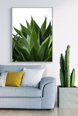 Agave Canvas Wall Art for a Natural Touch