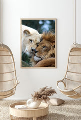 Eternal Bond: Lion & Lioness Canvas Art