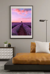 Lavender Sunset: Tranquil Canvas Wall Art