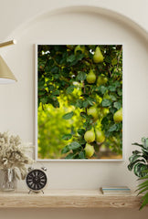 Pear Tree Bounty: Orchard Canvas Art