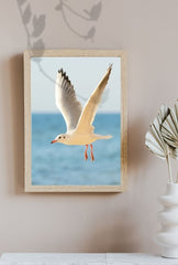 Coastal Freedom: Seagull Canvas Art - Ocean Breeze