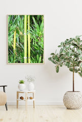 Serene Stalks: Bamboo Canvas Wall Art