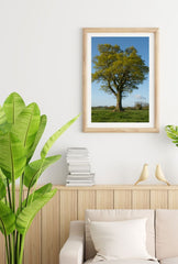 Majestic Oak Tree Canvas Wall Art