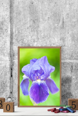 Mauve Dream Canvas Wall Art: Soft Hues for Elegant Decor