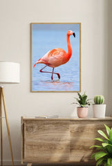 Flamingo Serenity Canvas Art