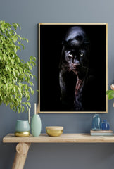 Shadow Stalker: Black Panther Canvas Art