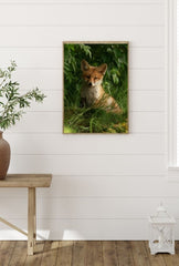 Whispering Woods: Fox Cub Canvas Art