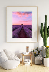 Lavender Sunset: Tranquil Canvas Wall Art