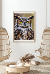 Owl Canvas Wall Art Poster