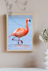 Flamingo Serenity Canvas Art