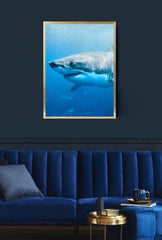 Majesty of the Deep: Great White Shark Canvas Art
