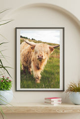 Highland Cow Canvas Wall Art – Rustic Farmhouse Animal Portrait