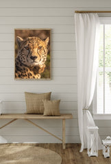 Cheetah Gaze: Wild Cat Canvas Art
