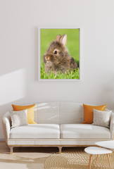 Animal Canvas Wall Art Poster