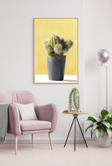 Golden Hour Cactus Canvas