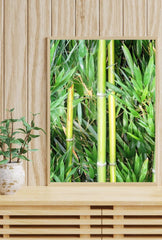 Serene Stalks: Bamboo Canvas Wall Art