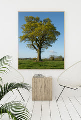 Majestic Oak Tree Canvas Wall Art